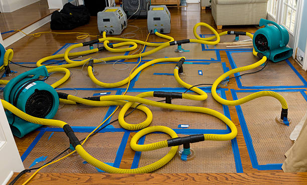 Professional Crawl Space Water Removal technician working in Ashley, MI